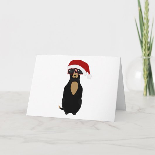 Carte de vacances Chihuahua (Devant)