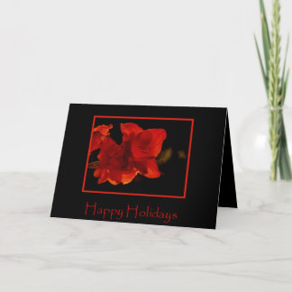 Carte de vacances d'amaryllis