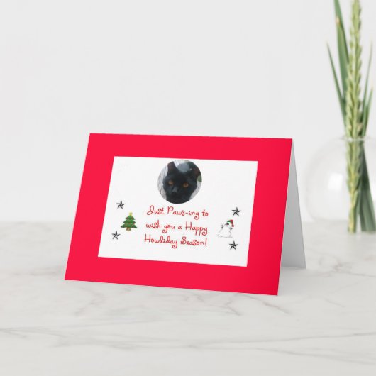 carte de vacances de chat (Devant)