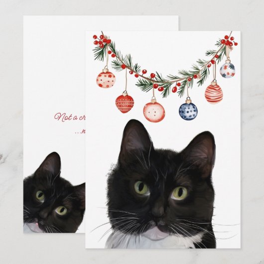 Carte de vacances de chat à plat (Devant / Derrière)