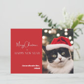 Carte de vacances de chat mignon (Debout devant)