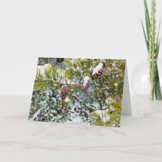 Carte de vacances de cônes de pin (Devant)