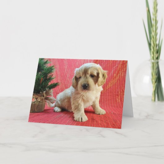 Carte de vacances de Goldendoodle (Devant)