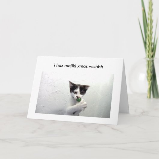 Carte de vacances de lolcat de Kiko - ! (Devant)