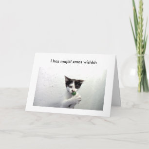 Carte de vacances de lolcat de Kiko - pédé !