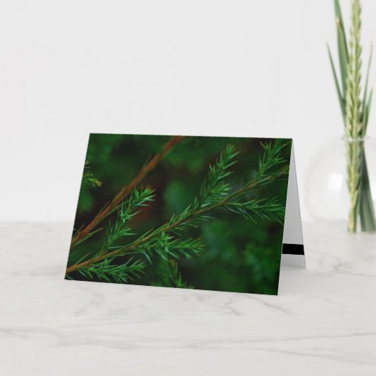 Carte de vacances de Noël (Devant)