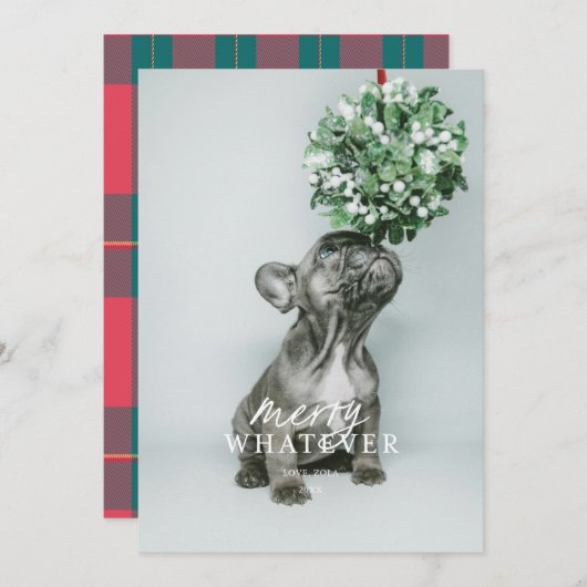 Carte de vacances de Noël avec photo de l'animal d (Devant / Derrière)