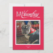 Carte de vacances de Noël avec photo de l'animal r (Devant)