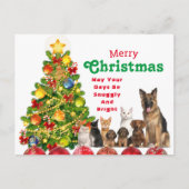 Carte de vacances de Noël de la famille des animau (Devant)
