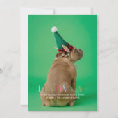 Carte de vacances de Noël drôle de photo d'animal  (Devant)