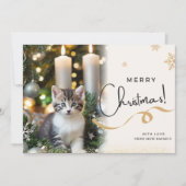 Carte de vacances de Noël du chat mignon (Devant)