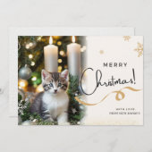 Carte de vacances de Noël du chat mignon (Devant / Derrière)