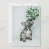 Carte de vacances de Noël pour animaux de compagni (Devant)