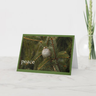 carte de vacances de paix de moineau