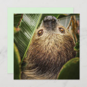 Carte de vacances de paresseux mignon (Devant / Derrière)