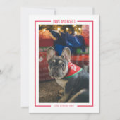 Carte de vacances de photo d'animal de compagnie d (Devant)