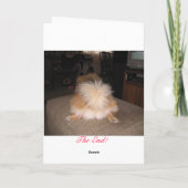 Carte de vacances de Pomeranian (Dos)