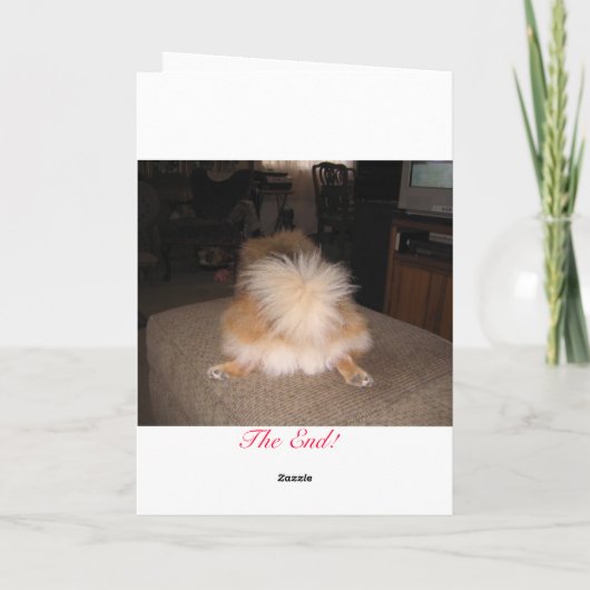 Carte de vacances de Pomeranian (Dos)