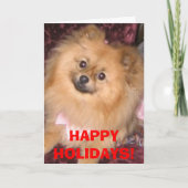 Carte de vacances de Pomeranian (Devant)