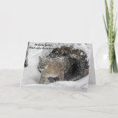 Carte de vacances de puma (Devant)