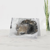 Carte de vacances de puma (Devant)