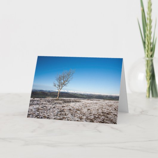 Carte de vacances de Scout Scar (Devant)