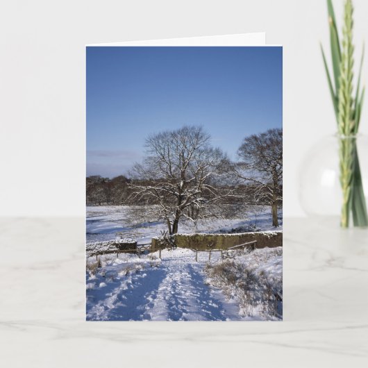 Carte de vacances de Winter Tree Lyme Park (Devant)