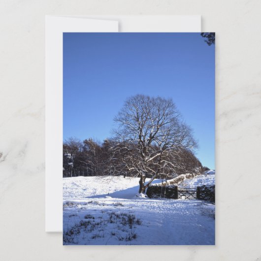 Carte de vacances de Winter Tree Lyme Park (Devant)