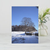Carte de vacances de Winter Tree Lyme Park (Debout devant)