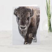 Carte de vacances "Deep Freeze" (Devant)