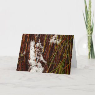 Carte de vacances Dove Lake Cradle Mountain