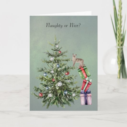 Carte de vacances drôle de chat grimpant un arbre  (Devant)