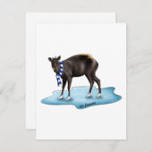 Carte de vacances - Duiker (Devant / Derrière)