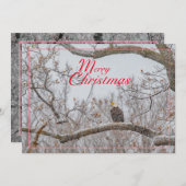 Carte de vacances Eagle in Snowstorm (Devant / Derrière)