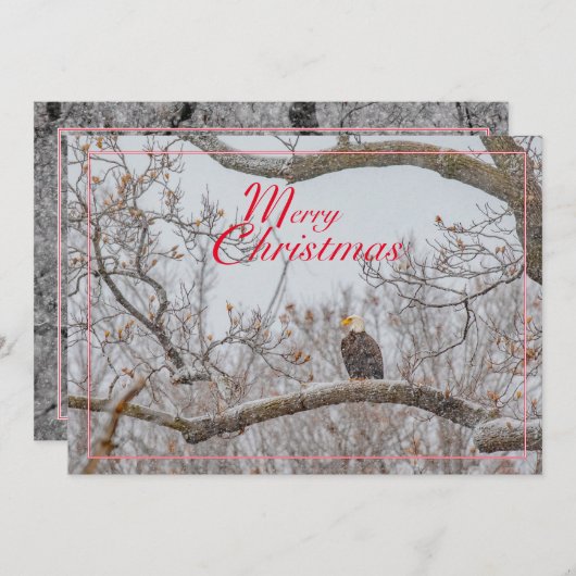 Carte de vacances Eagle in Snowstorm (Devant / Derrière)