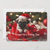 Carte de vacances émouvante de chiot Pug (Devant)