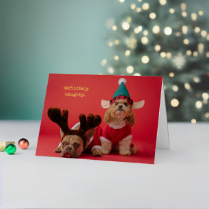 Carte De Vacances En Aluminium Vraiment Naughty Pet Photo Mignonne Noël