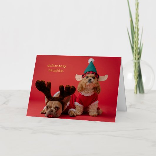 Carte De Vacances En Aluminium Vraiment Naughty Pet Photo Mignonne Noël (Recto)