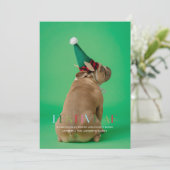 Carte de vacances festive avec photo de l'animal d (Debout devant)