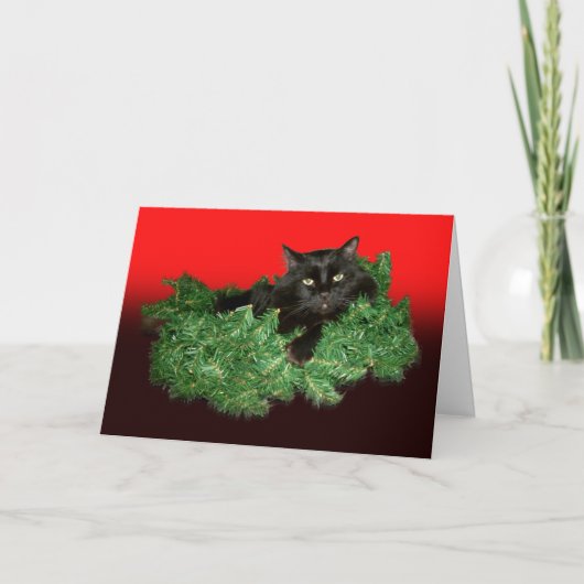 Carte de vacances fourrure chat (Devant)