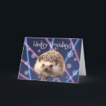 Carte de vacances Hedgehog<br><div class="desc">Quoi de plus festif qu'un hérisson sur un arrière - plan laser ?  Rien. 
Vos amis et votre famille seront ravis de recevoir une telle carte unique et amusante.</div>