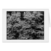 Carte de vacances 'hiver Abstrait' - Noël (Devant horizontal)