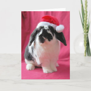 Carte de vacances Hoppy