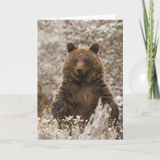 Carte de vacances "Let it Snow" (Devant)