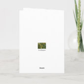 Carte de vacances, marais (Dos)