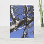 Carte de vacances, marais (Devant)