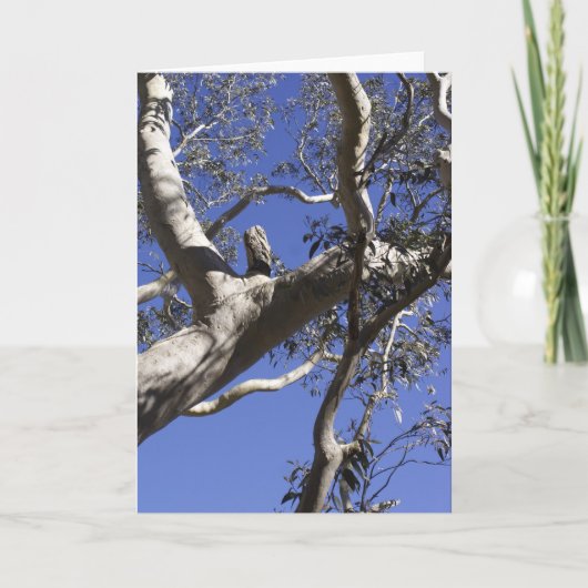 Carte de vacances, marais (Devant)