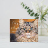 Carte de vacances Merry et Bright Photo Cat (Debout devant)