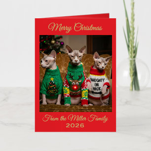 Carte De Vacances Métallisée Chats Sphynx de Noël personnalisés Photo drôle