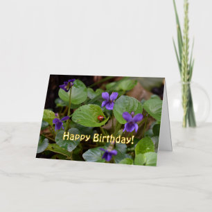 Carte De Vacances Métallisée Coccinelle sur fleurs de violette odorante